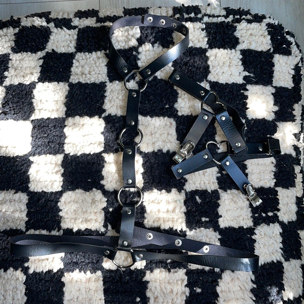Black harness with leg garters small